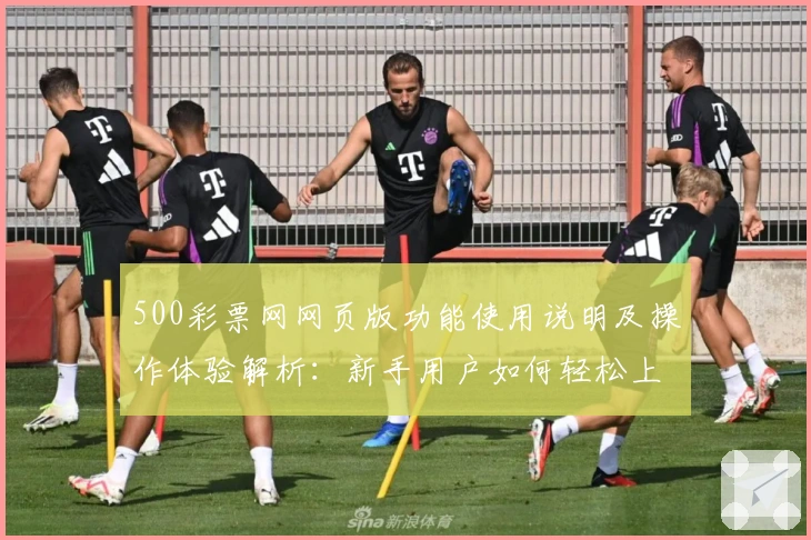 500彩票网网页版功能使用说明及操作体验解析：新手用户如何轻松上手