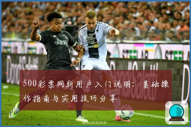 500彩票网新用户入门说明：基础操作指南与实用技巧分享